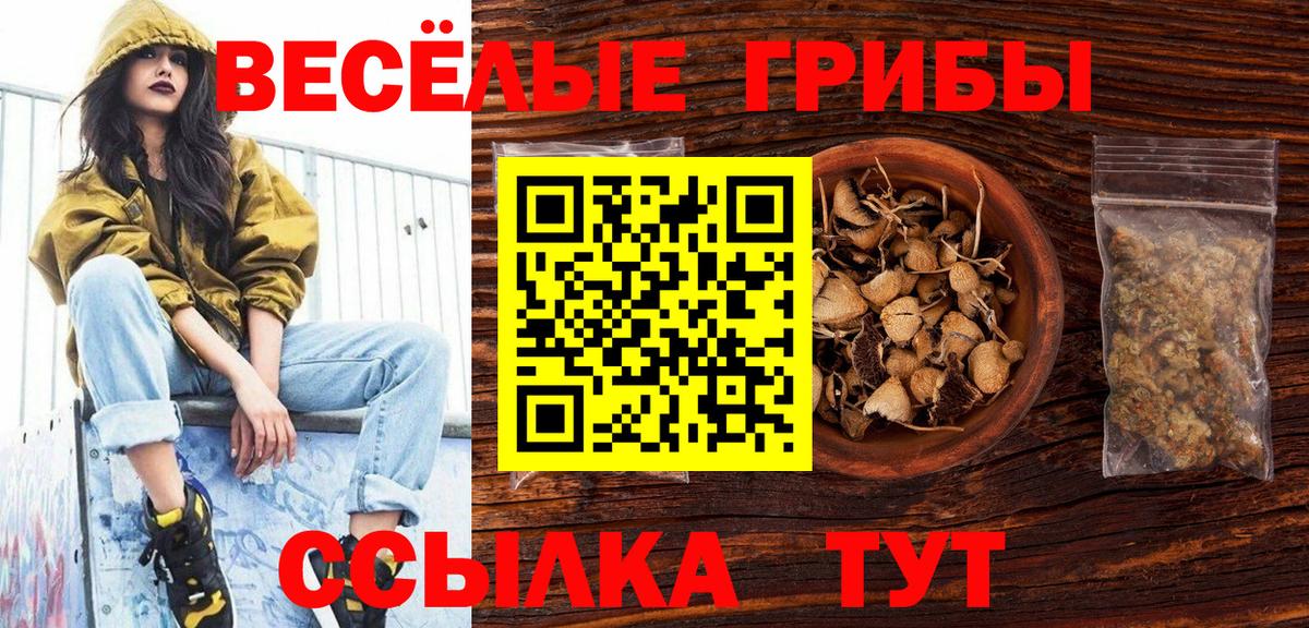 цена   Псилоцибиновые грибы ЛСД  Вход с VPN  Азнакаево  Псилоцибиновые грибы GOLDEN TEACHER 