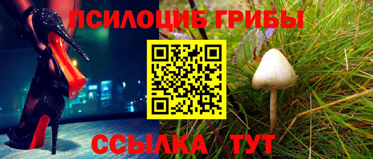 Галлюциногенные грибы Cubensis Азнакаево